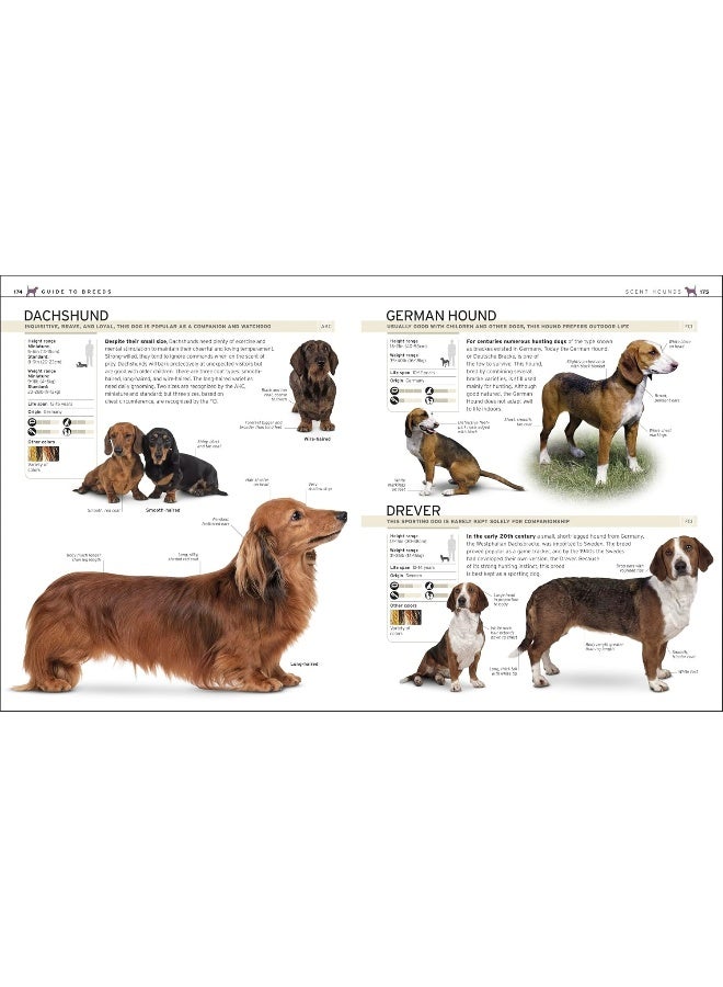 Complete Dog Breed Book, New Edition - Image 4