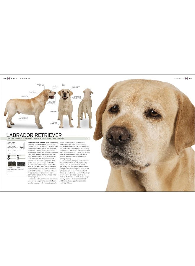 Complete Dog Breed Book, New Edition - Image 3