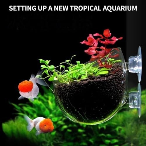 GLEFLE 2 PCS Aquarium Plant Holder Top Hanging Fish Tank Plant Pot Aquarium Planter Cups for Water Feature Decoration - Image 2