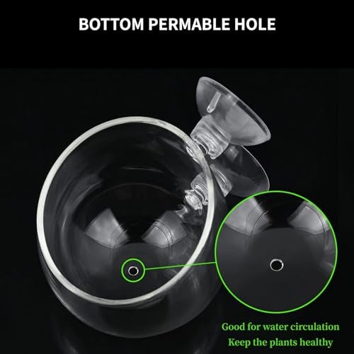GLEFLE 2 PCS Aquarium Plant Holder Top Hanging Fish Tank Plant Pot Aquarium Planter Cups for Water Feature Decoration - Image 4
