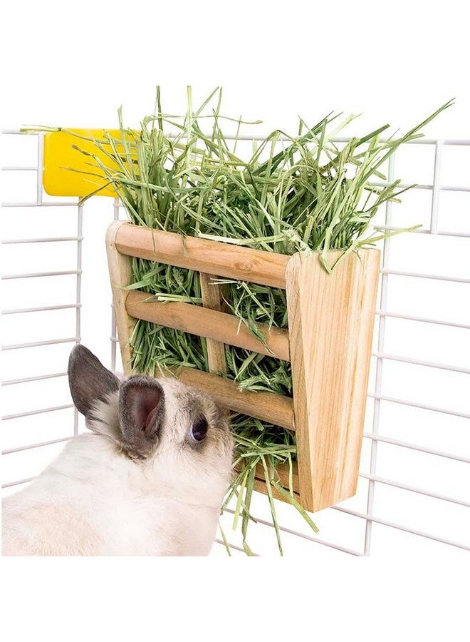 هامليدي حامل قش شينشيلا، وحدة تغذية قش للأرانب، حامل قش خنزير غينيا، موزع طعام الأرانب، خشب طبيعي، ملحقات قفص الأرانب من BLSMU - Image 3