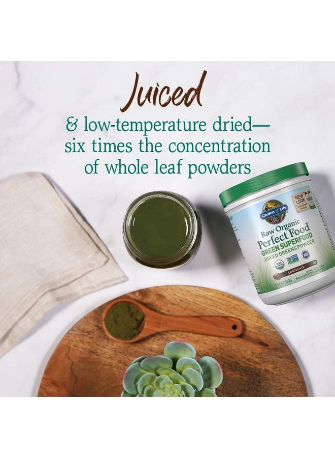 Garden of Life Raw Organic Perfect Food Green Superfood Juiced Greens Powder - Chocolate, 30 Servings (Packaging May Vary) - Image 2