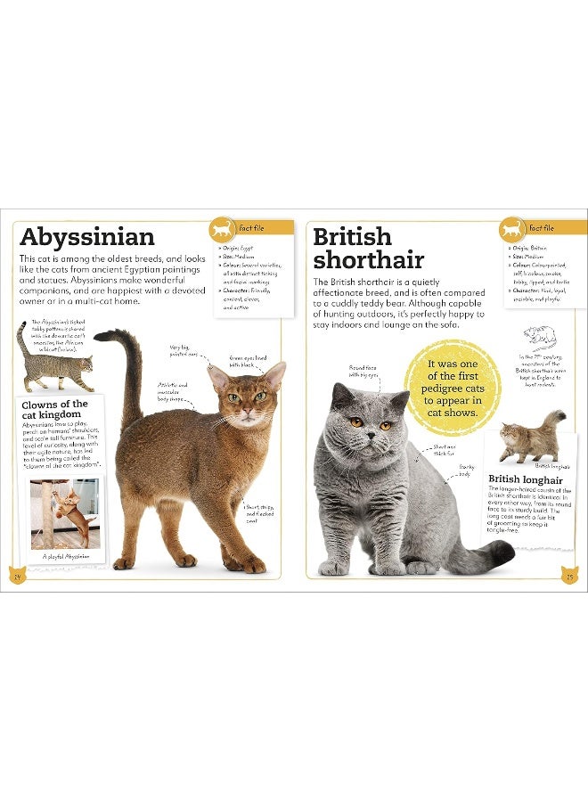 My Book of Cats and Kittens: A Fact-Filled Guide to Your Feline Friends - Image 5