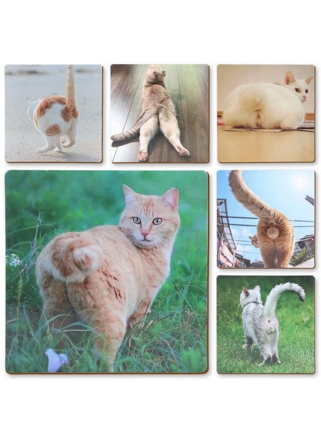 FunisFun Funny Coasters For Drinks 6 Piece Cats Cute Coasters Absorbent Cork Base Apartment Decor For Cat Lovers & Kitten Owners White Elephant Party Gag Gift - Image 1