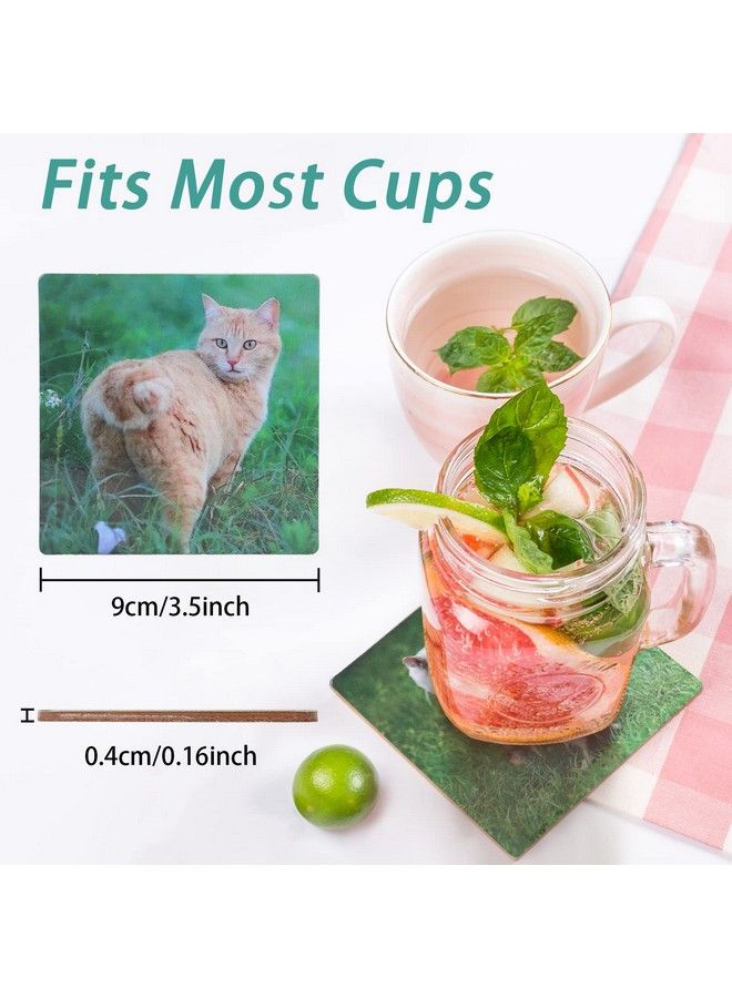 FunisFun Funny Coasters For Drinks 6 Piece Cats Cute Coasters Absorbent Cork Base Apartment Decor For Cat Lovers & Kitten Owners White Elephant Party Gag Gift - Image 5