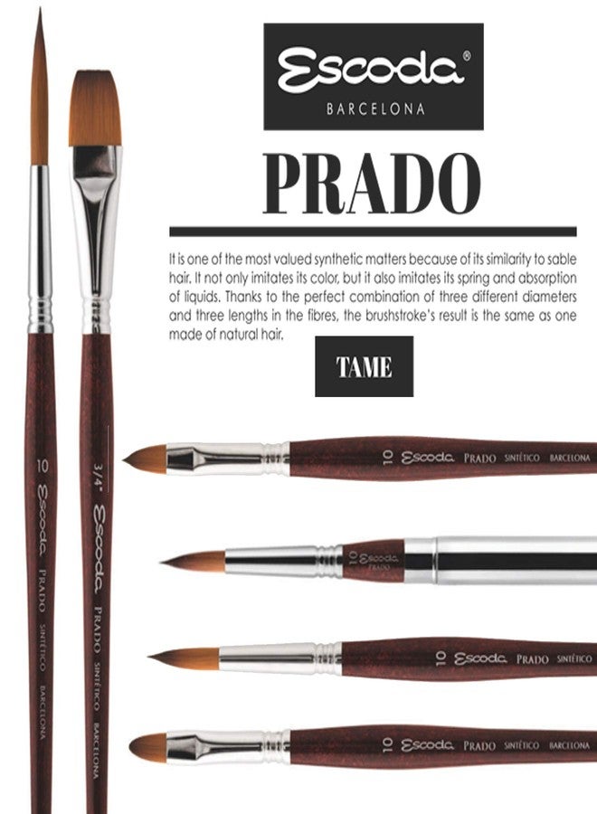 Escoda Art Products Escoda Prado Series Artist Watercolor & Acrylic Short Handle Filbert Paint Brush, Size 2, Synthetic Sable - Image 4