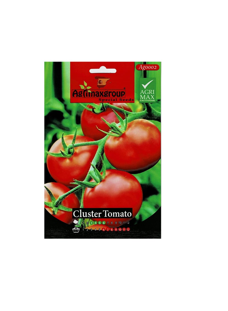 Agrimax Cluster Tomato Premium Quality Seeds - Image 3