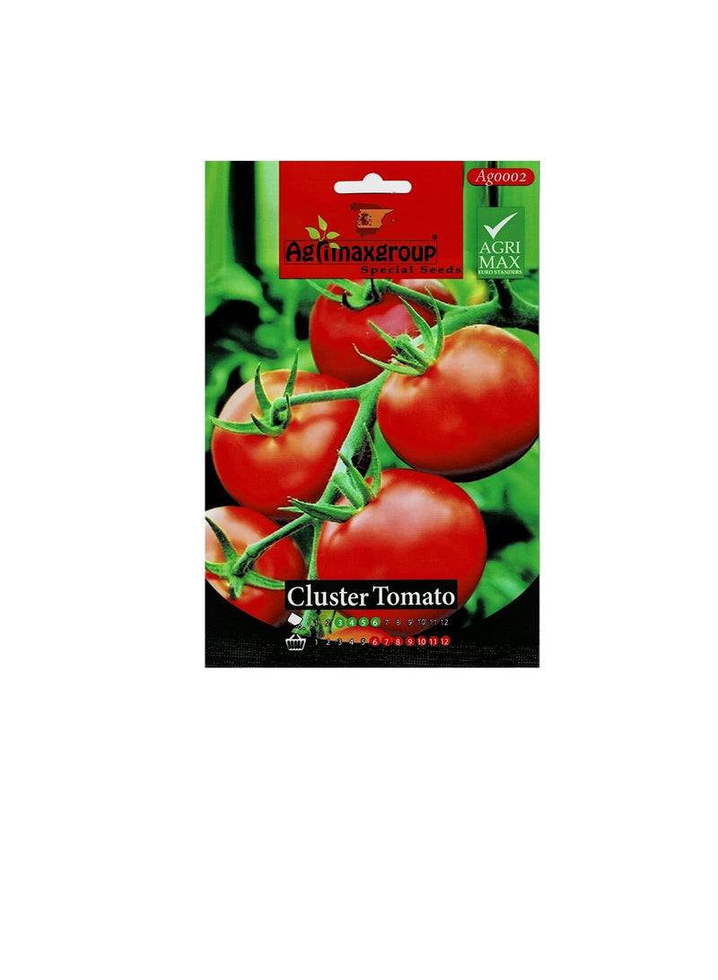 Agrimax Cluster Tomato Premium Quality Seeds - Image 2