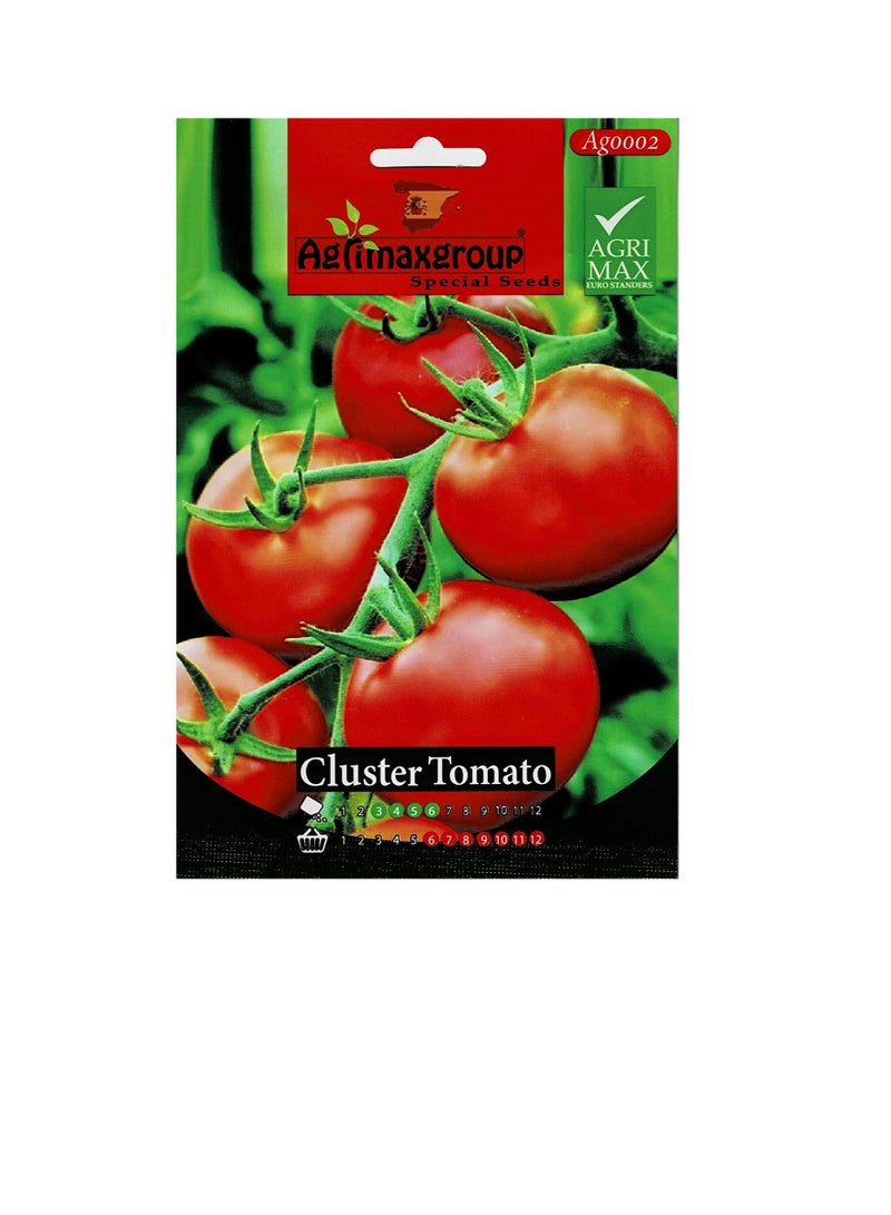 Agrimax Cluster Tomato Premium Quality Seeds - Image 1