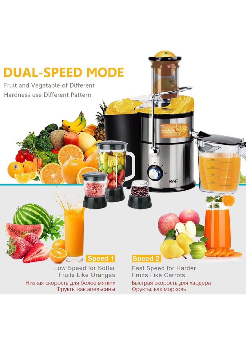 LAC LAICHY 4-in-1 Juicer & Blender - Electric Blender, Juicer, Chopper & Grinder 2-Speed Pulse Function, Powerful Versatile & Compact with Stainless Steel Body & Mesh Strainer | Motor Overheat Protection  - Image 2