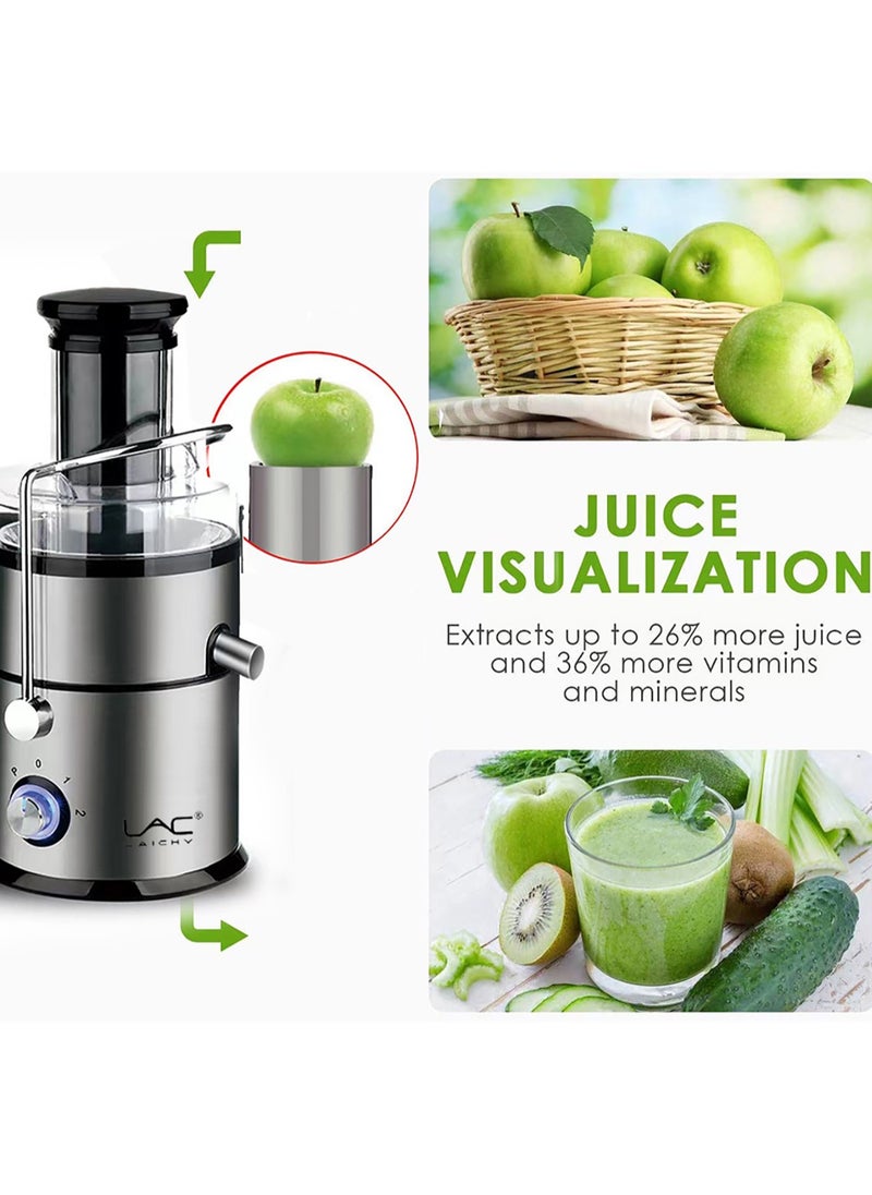 LAC LAICHY 4-in-1 Juicer & Blender - Electric Blender, Juicer, Chopper & Grinder 2-Speed Pulse Function, Powerful Versatile & Compact with Stainless Steel Body & Mesh Strainer | Motor Overheat Protection  - Image 3