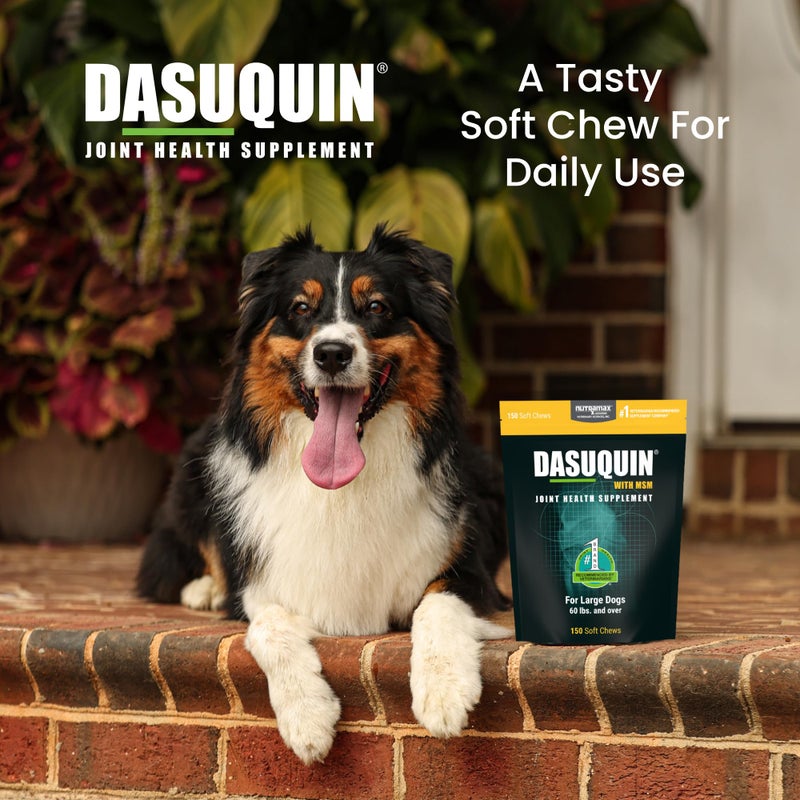 Nutramax Laboratories Nutramax Dasuquin for Large Dogs, Joint Health Supplement, Contains Glucosamine for Dogs, Plus Chondroitin, ASU, MSM and More, Supports Healthy Joints, Soft Chews, 150 Count - Image 4