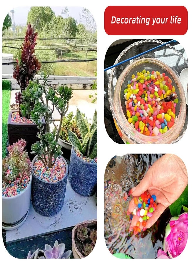 TACOLO Red Pebbles for Crafts, 0.9 Pound Natural Polished Aquarium Gravel, Decorative Pebbles for Indoor Plants, Turtle Tank, Vase, Succulents Cactus, Garden Landscaping - Image 5