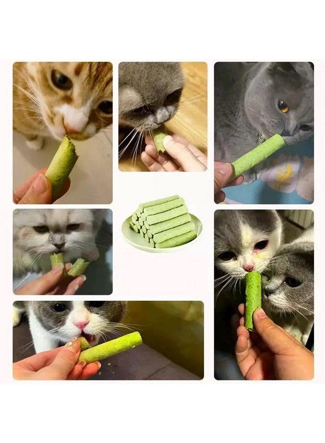 Generic Cat Grass Teething Stick for Hairball Removal and Teeth Cleaning, Cat Grass Sticks for Indoor Cats, Chicken Flavored Hairball Treats for Cats, Natural Cat Dental Treat  - Image 3