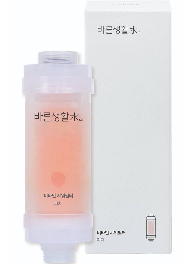 Bareunsoo Korean shower filter (Peach) - Image 1