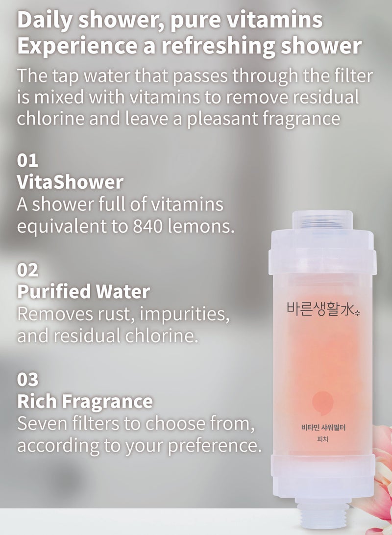 Bareunsoo Korean shower filter (Peach) - Image 3