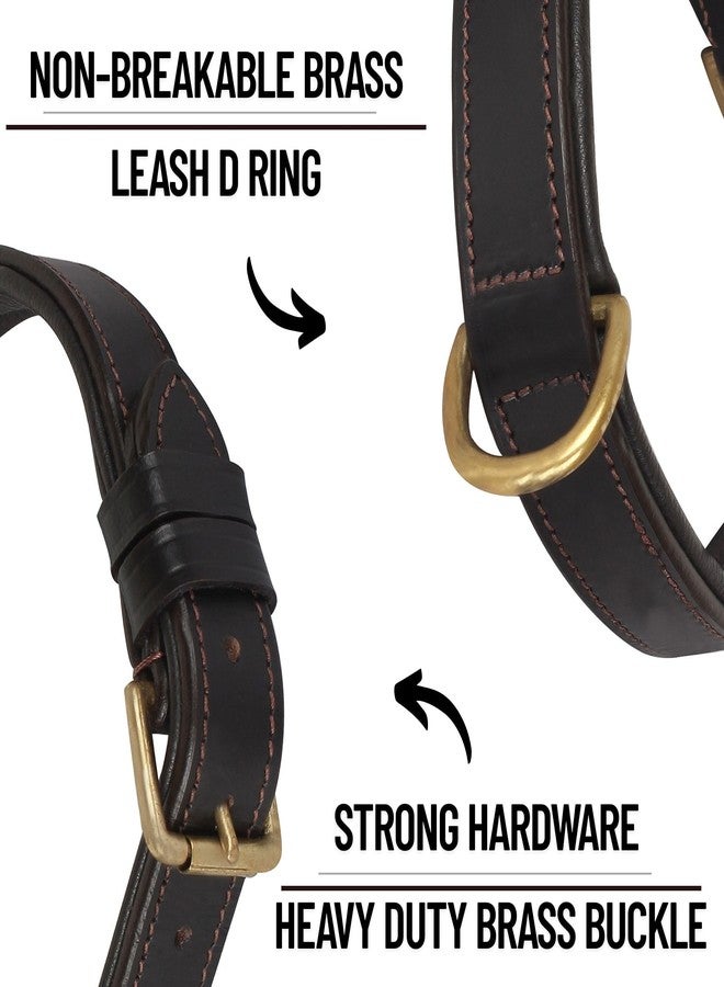 Rustic Town Leather Dog Collar for Pets - Collar with Brass Buckles and D Rings for Name Tags/Plate - Perfect Size for Medium & Large Dogs (15 to 19 inches) - Image 4