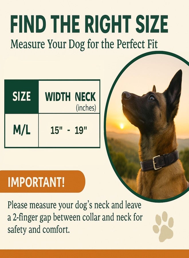 Rustic Town Leather Dog Collar for Pets - Collar with Brass Buckles and D Rings for Name Tags/Plate - Perfect Size for Medium & Large Dogs (15 to 19 inches) - Image 3