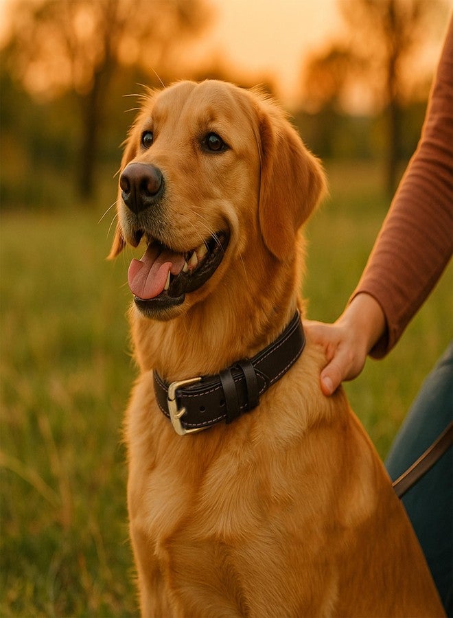 Rustic Town Leather Dog Collar for Pets - Collar with Brass Buckles and D Rings for Name Tags/Plate - Perfect Size for Medium & Large Dogs (15 to 19 inches) - Image 2