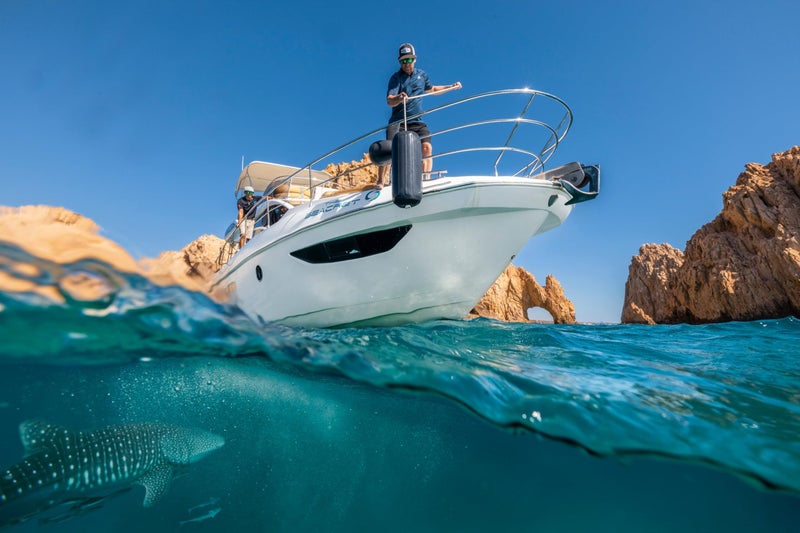 Polyform فندر قارب بوليفورم HTM-2 أسود 8.5 × 20.5 بوصة - Image 4