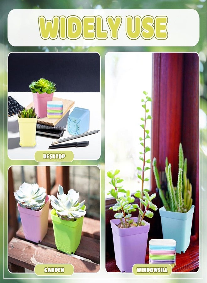 OJYUDD 24 Pack Multi Color Plastic Plant Pot,Colorful Plastic Square Pots,Mini Plastic Square Planters for Indoor Outdoor Plants Flowers,Garden,Office,Home Decor,with Pallet - Image 5