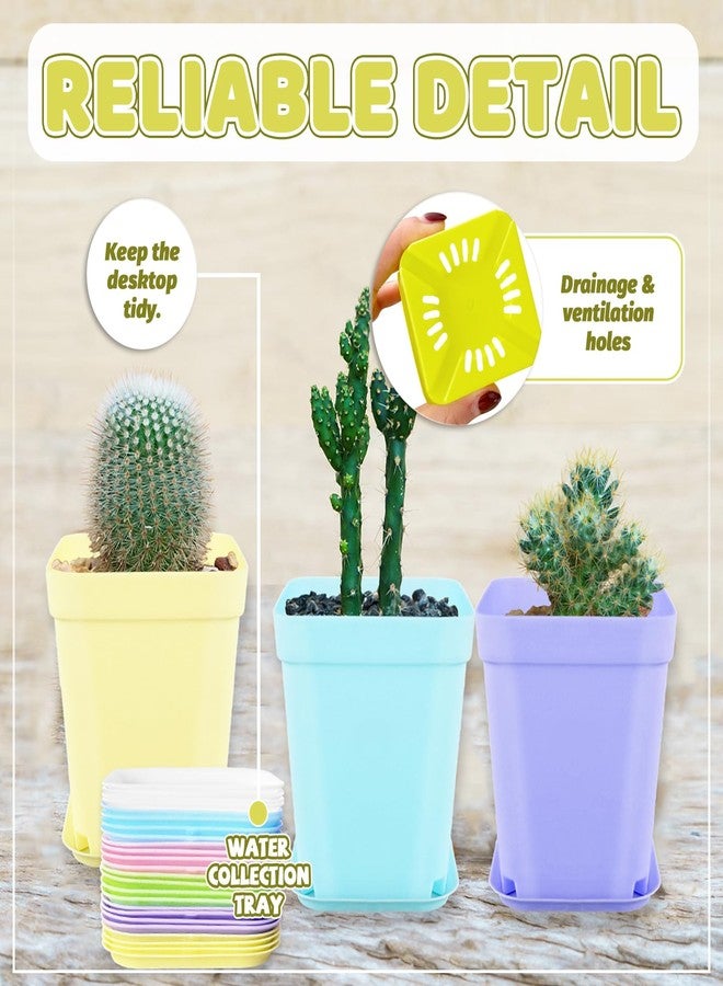 OJYUDD 24 Pack Multi Color Plastic Plant Pot,Colorful Plastic Square Pots,Mini Plastic Square Planters for Indoor Outdoor Plants Flowers,Garden,Office,Home Decor,with Pallet - Image 4