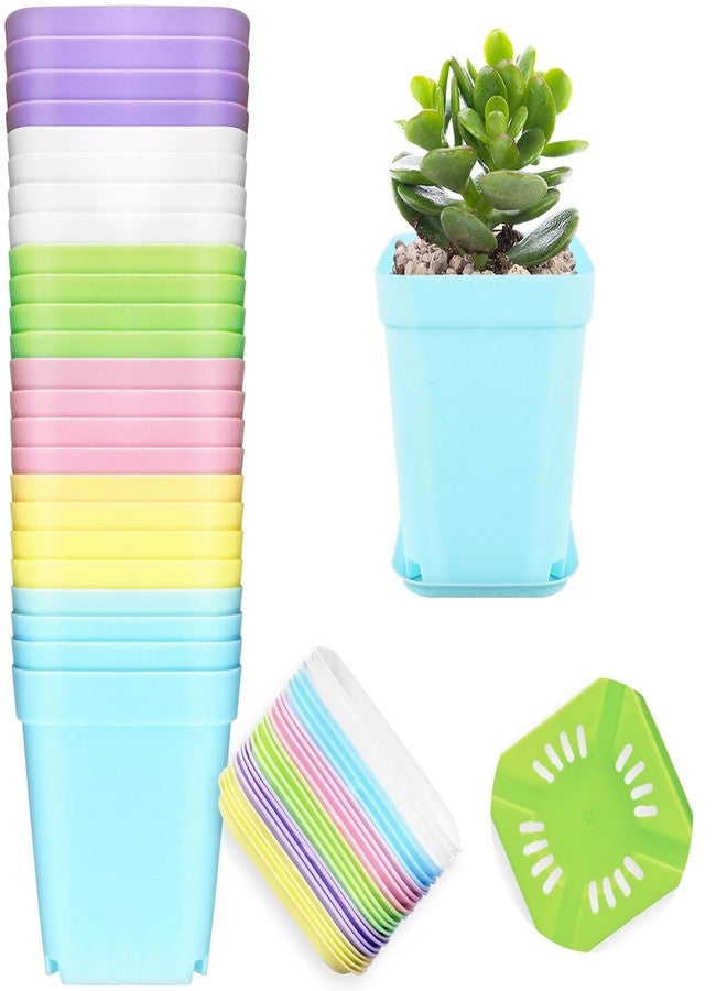 OJYUDD 24 Pack Multi Color Plastic Plant Pot,Colorful Plastic Square Pots,Mini Plastic Square Planters for Indoor Outdoor Plants Flowers,Garden,Office,Home Decor,with Pallet - Image 1