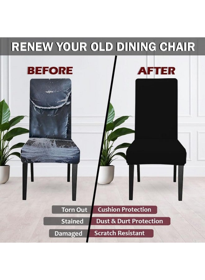 HOTKEI HOTKEI Pack of 4 Black Color 200 GSM Elastic Stretchable Dining Table Chair Seat Cover Protector Slipcover for Dining Table Chair Covers Stretchable 1 Piece Pack of 4 Seater - Image 2