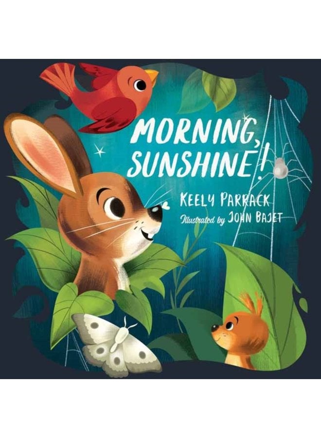 Morning Sunshine - Hardback