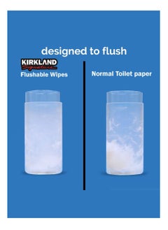 Kirkland Signature Moist Flushable Tissue Wipes Ultra Soft Hypoallergenic Plant-Based Wipes 640  - Image 3