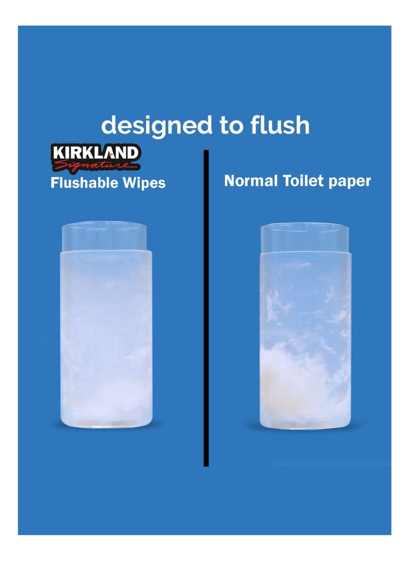 Kirkland Signature - Moist Flushable Tissue Wipes Ultra Soft Hypoallergenic Plant-Based Wipes 640 - Image 1