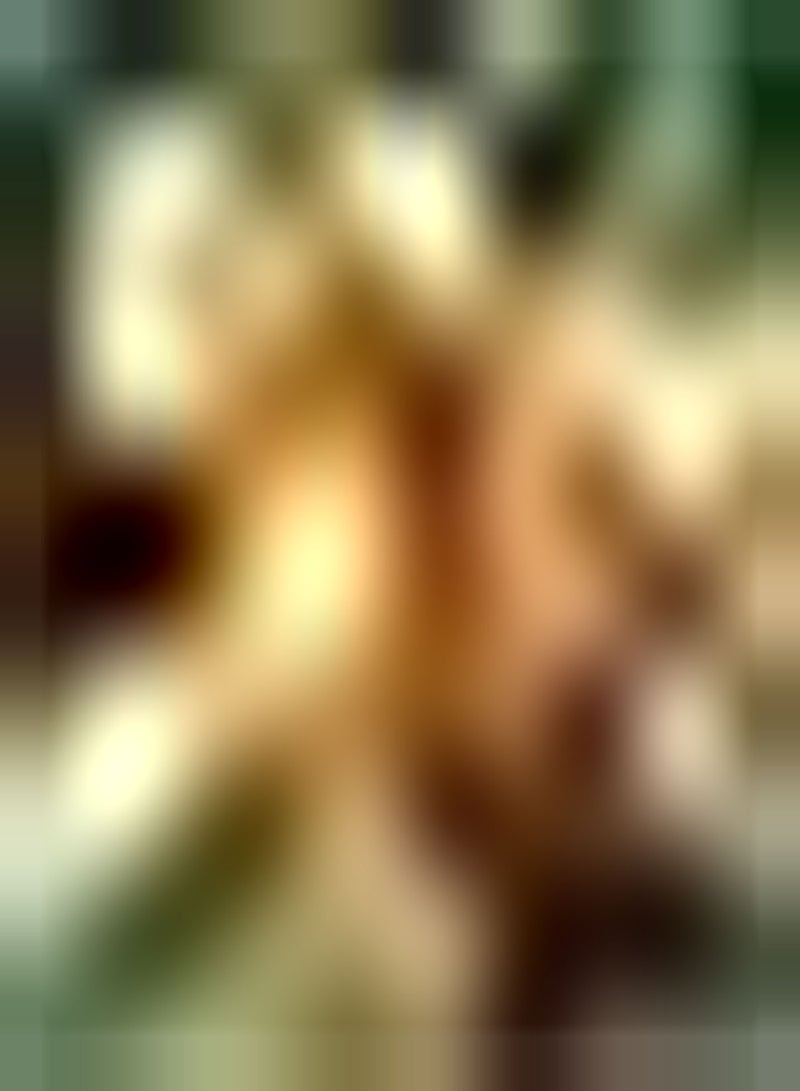 جي جوت 10 قطع من حدائق زهور التولبن الجميلة ذات الألوان الزاهية من نباتات ستارك في أفضل حالاتها مناسبة لحديقة الحيوانات الأليفة التي يحبها الإنسان - Image 1