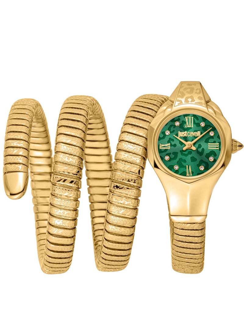 Just Cavalli Dress Watch JC1L271M0035, Bottle Green, Glam - pzsku/Z4CD0F415CCA743285D4BZ/45/_/1727331131/42dbc9e9-8b70-4c96-8e0f-5397c3a5dc60