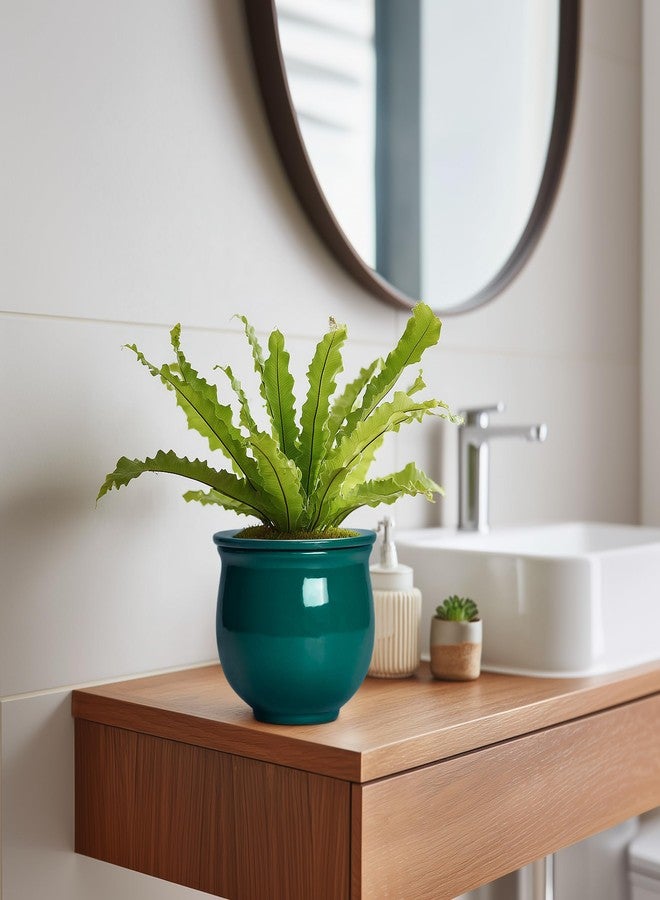 Teagas 6 Inch Self Watering Plant Pots, Ceramic African Violet Pot with Absorbent Inner Pot, Easy Self Watering Pots for Indoor Plants, Ceramic Planter, Room Decor, Plant Lover Gifts, Blackish Green - Image 5