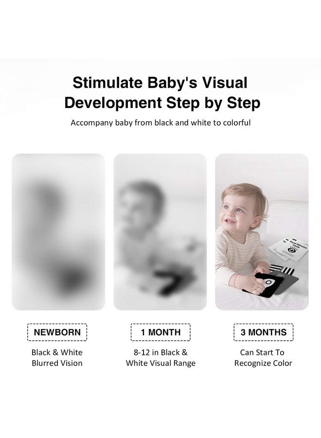 بيينس بطاقات تعليمية عالية التباين للأطفال، ألعاب تنمية دماغ الأطفال حديثي الولادة، بطاقات أنشطة تعليمية للتحفيز البصري، 20 قطعة 40 صفحة 5.5 × 5.5 بوصة هدية تعليمية للأطفال الرضع - Image 2