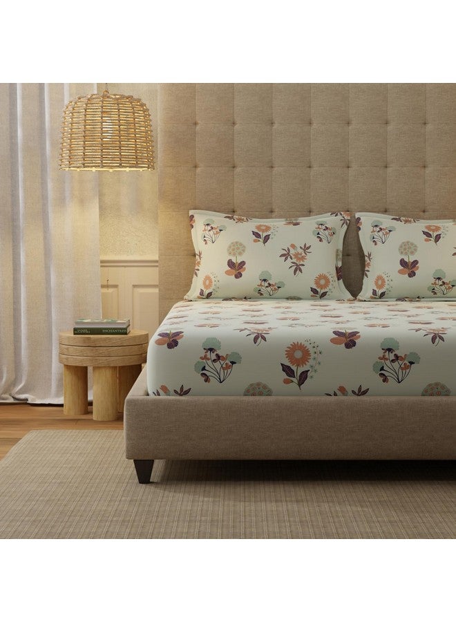 Urban Space ملاءة سرير قطن 100% بتصميم حضري سيري 200 TC للسرير المزدوج، حجم كوين، مع 2 غطاء وسادة (رمادي مشع، الحجم 88 x 100 بوصة) - Image 1