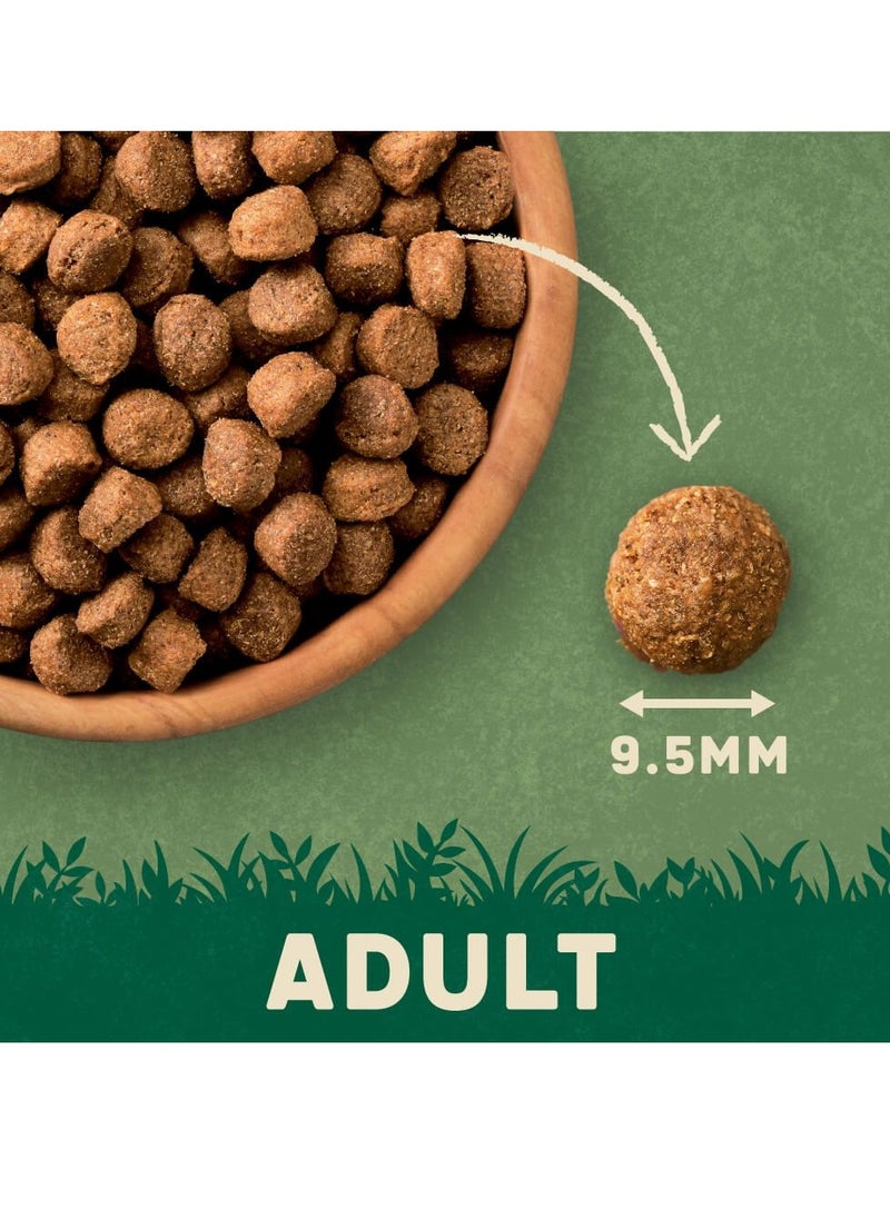 HARRINGTONS - Complete Salmon & Potato Adult Dry Dog Food 12kg - Image 1