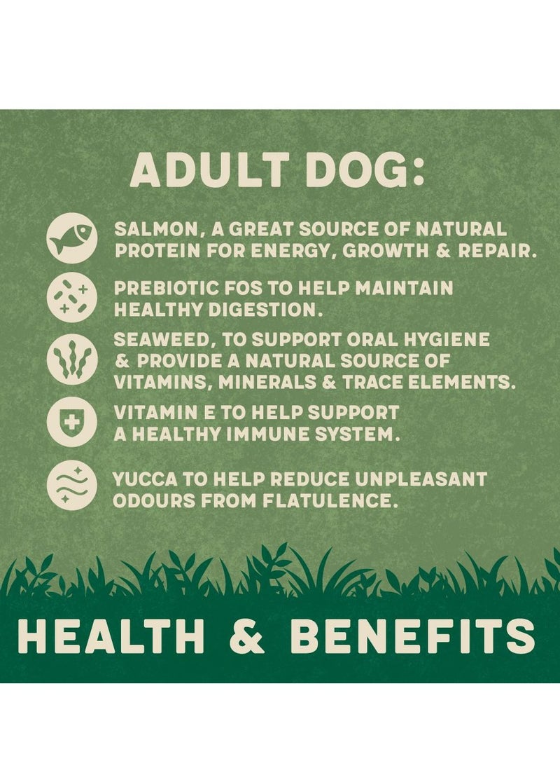 HARRINGTONS - Complete Salmon & Potato Adult Dry Dog Food 12kg - Image 1