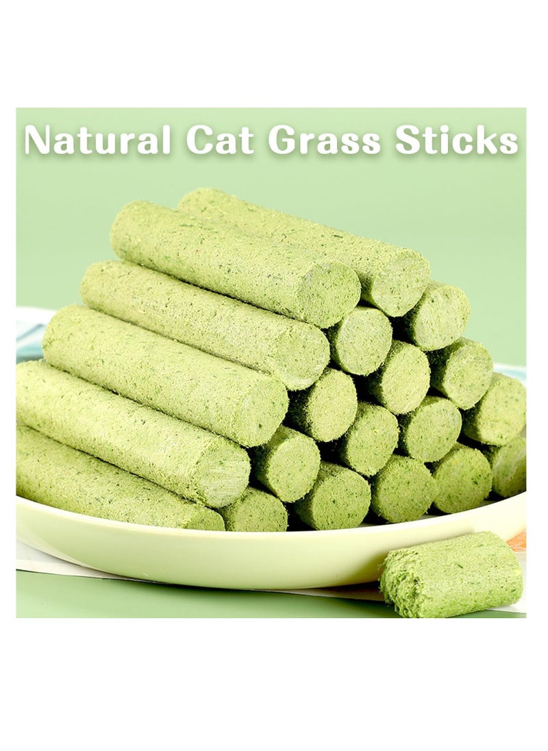 Meetion 6Pcs Cat Grass Teething Stick,Cat Teeth Cleaning Catnip Toys Sticks Indoor Kitten Chew Stick Cats Toy Natural Oral Cleaning for Increase Appetite, Hairball Removal  - Image 2