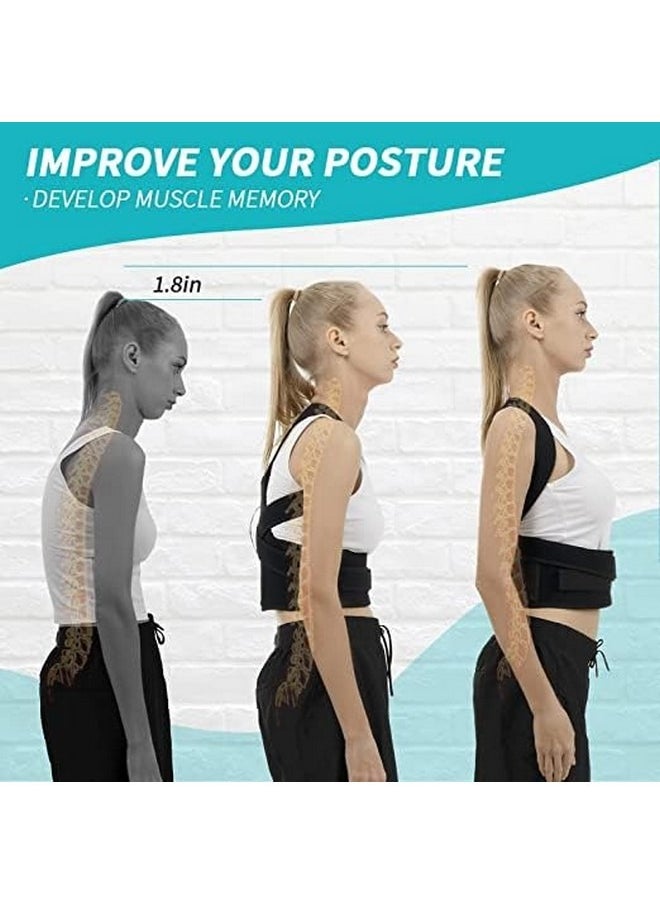 Beauenty - Back Brace and Posture Corrector for Unisex, Back Straightener Scoliosis and Hunchback Correction Back Pain Spine Corrector Back Support Adjustable Breathable Posture Trainer for Back and Shoulder (M) - Image 1