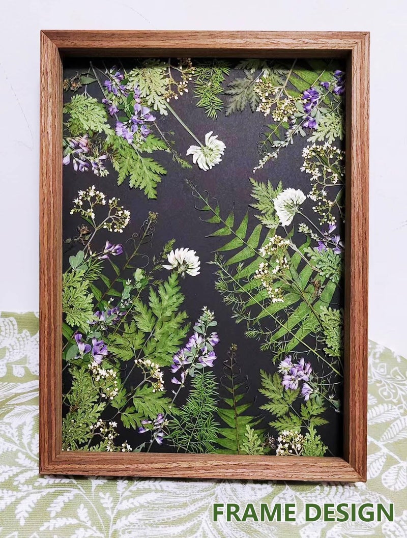 AHTONG 48 PCS Pressed Ferns Large Dried Pressed Leaves, Dried Flowers for Crafs, Resin Molds, Candle Making, Bookmarks(Fern) - Image 3