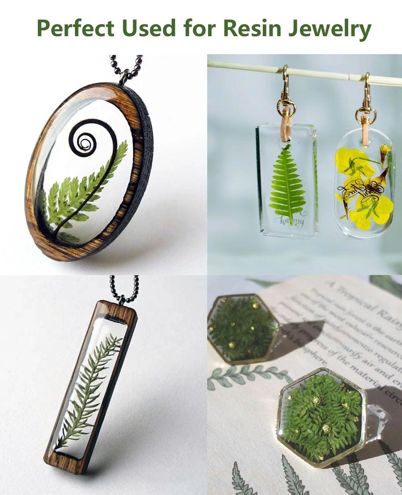 AHTONG 48 PCS Pressed Ferns Large Dried Pressed Leaves, Dried Flowers for Crafs, Resin Molds, Candle Making, Bookmarks(Fern) - Image 4