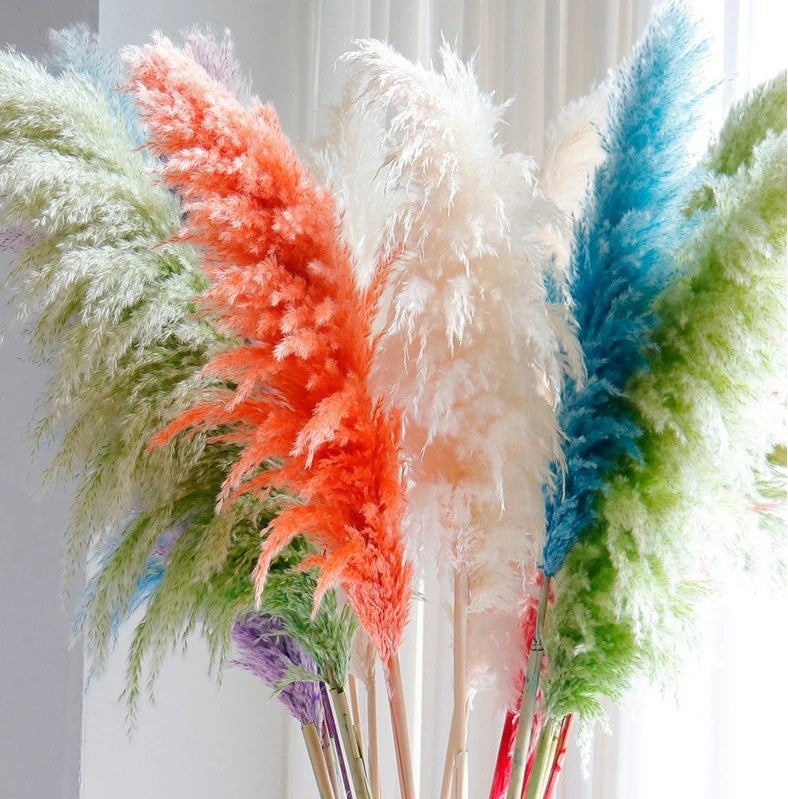 Bluejw G21 Large Pampas Grass Decor - Natural Dried Pampas Grass Plumes for Wedding Decorations & Dried Plants - Image 2