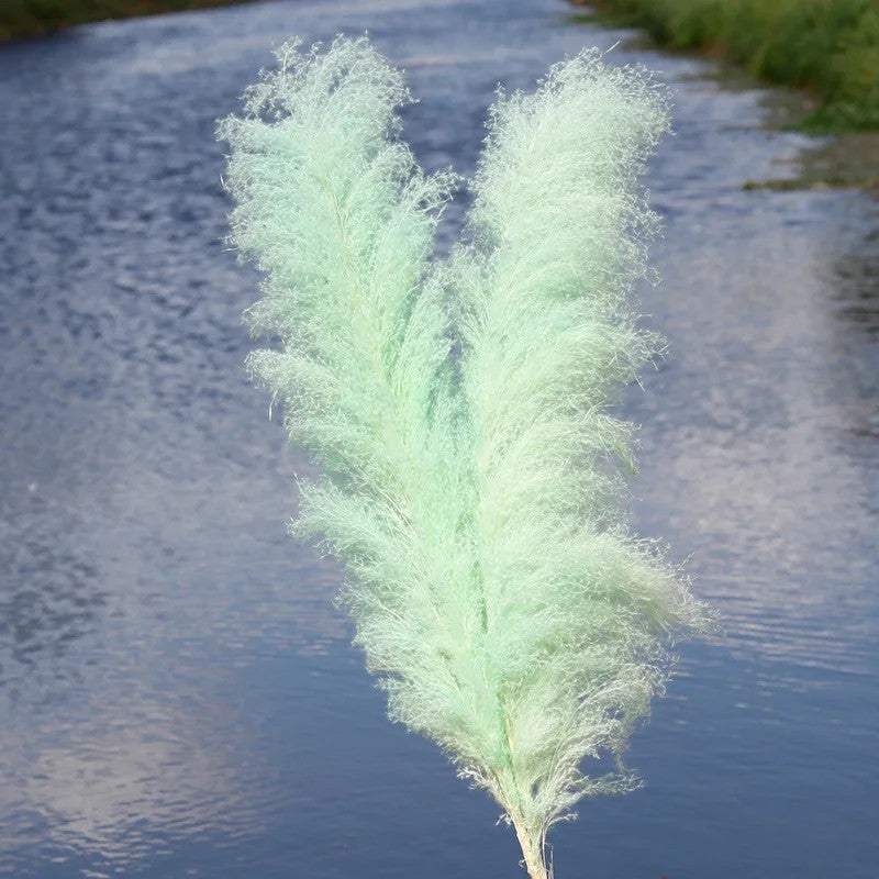 Bluejw G21 Large Pampas Grass Decor - Natural Dried Pampas Grass Plumes for Wedding Decorations & Dried Plants - Image 1