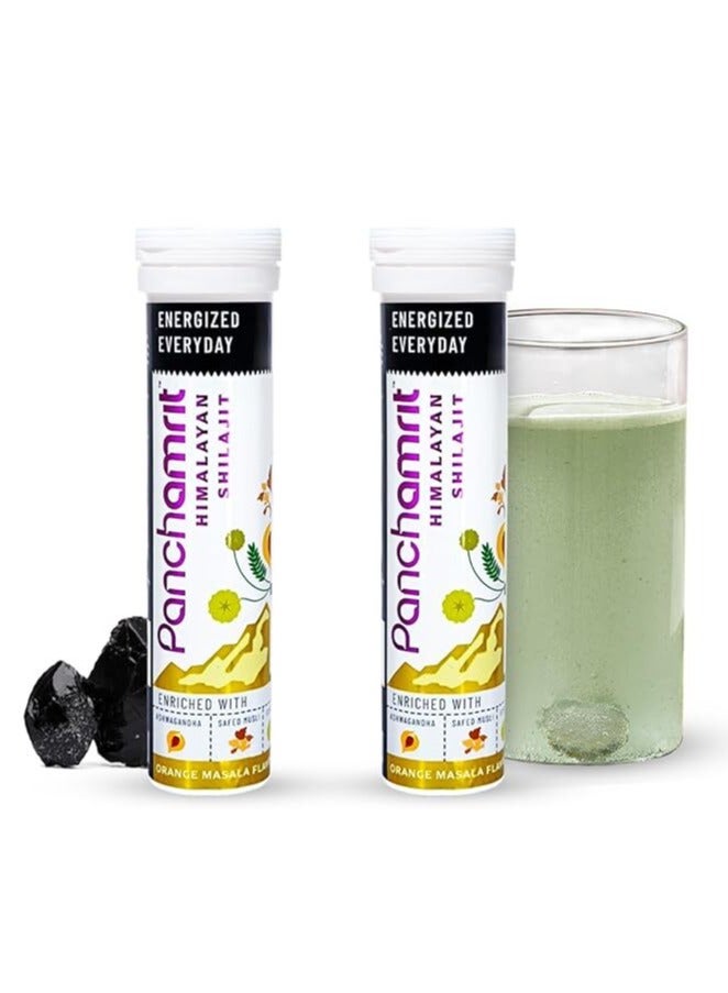 بانشامريت هيمالايا شيلاجيت فوارة 15 قرصحزمة من 2 - Image 1