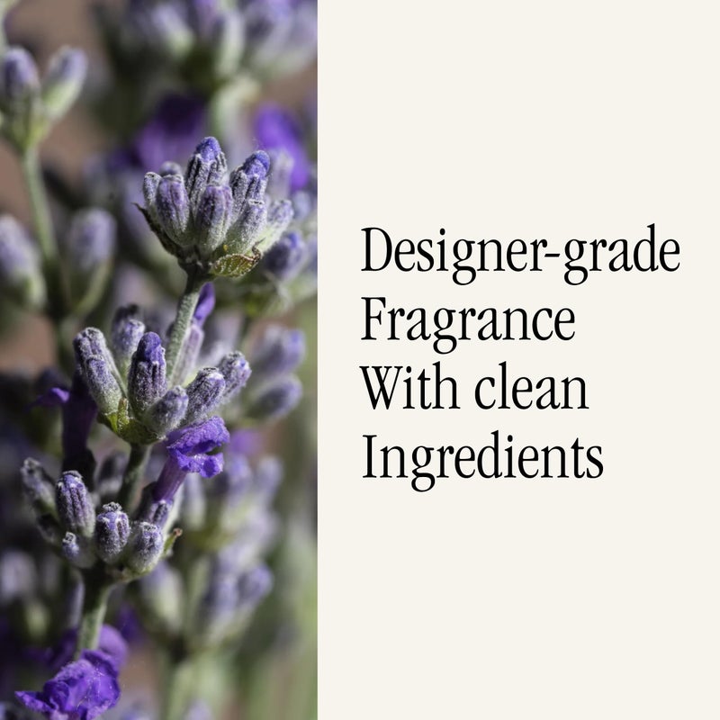 بيورا عطر موزع الهواء من بورا سمارت هوم - إعادة تعبئة رائحة المنزل الذكي - ما يصل إلى 120 ساعة من العطر المميز لكل عبوة - عطر موزع نظيف للمنزل والمكتب والشقق - عبوتين من حقول اللافندر - Image 4