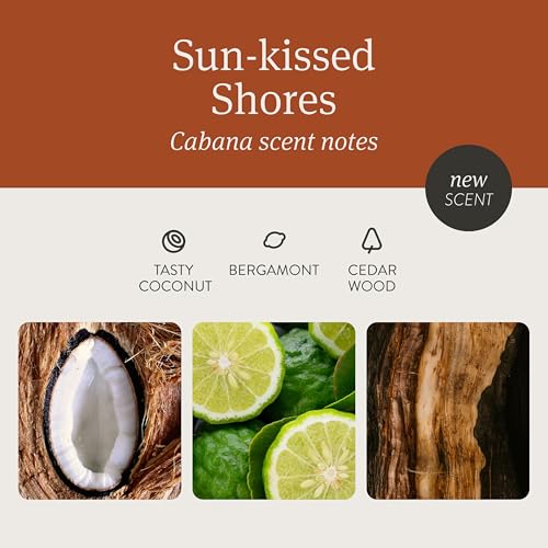 Drift Car Air Freshener - Wood Air Freshener - Car Odor Eliminator - Cabana Scent Starter Kit - Image 3