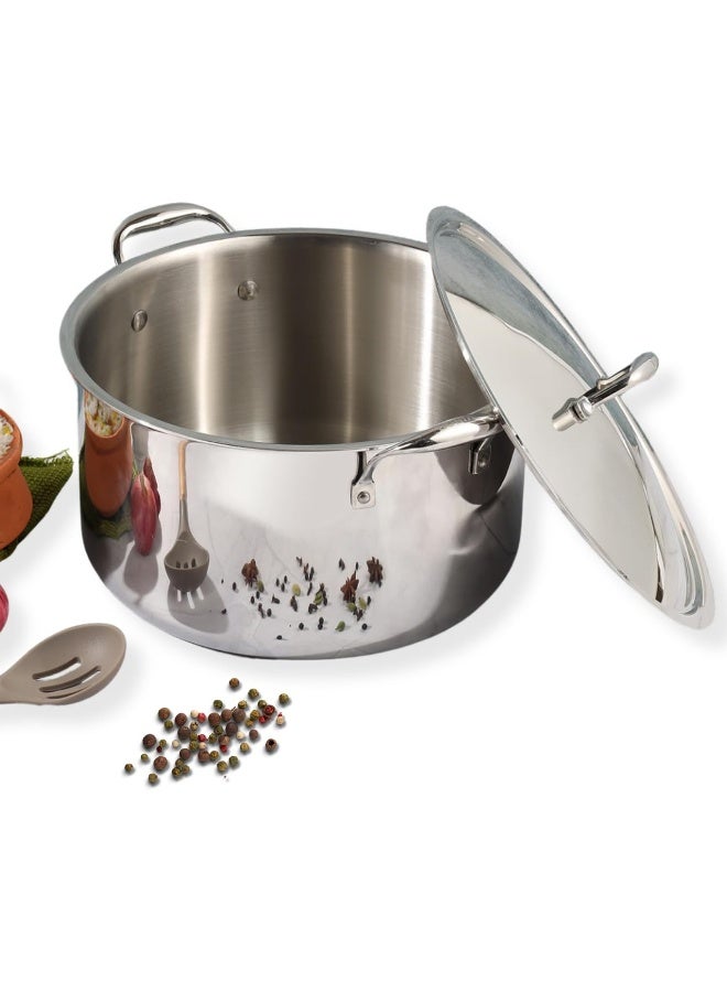VINOD Platinum Triply Stainless Steel Biryani/Sauce Pot with Lid - 11 Liters, 30 cm | Heavy Bottom | Multipurpose Cooking Pot | Riveted Handles | Induction & Gas Compatible - Image 1
