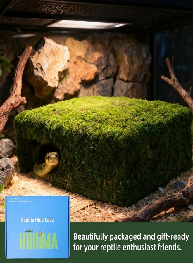Hollima Mossy Cave Hide for Reptiles, Lizard Moss Hideout with Safe Shelter, Snake Cave Hut for Themed Terrarium Ideal for Gecko Hamster Snake to Rest & Hide - Image 4