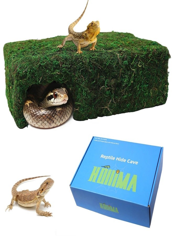 Hollima Mossy Cave Hide for Reptiles, Lizard Moss Hideout with Safe Shelter, Snake Cave Hut for Themed Terrarium Ideal for Gecko Hamster Snake to Rest & Hide - Image 1
